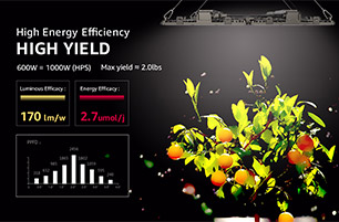 DesignLight Consortium released version 2.0 of Technical Requirements for Horticultural LED
