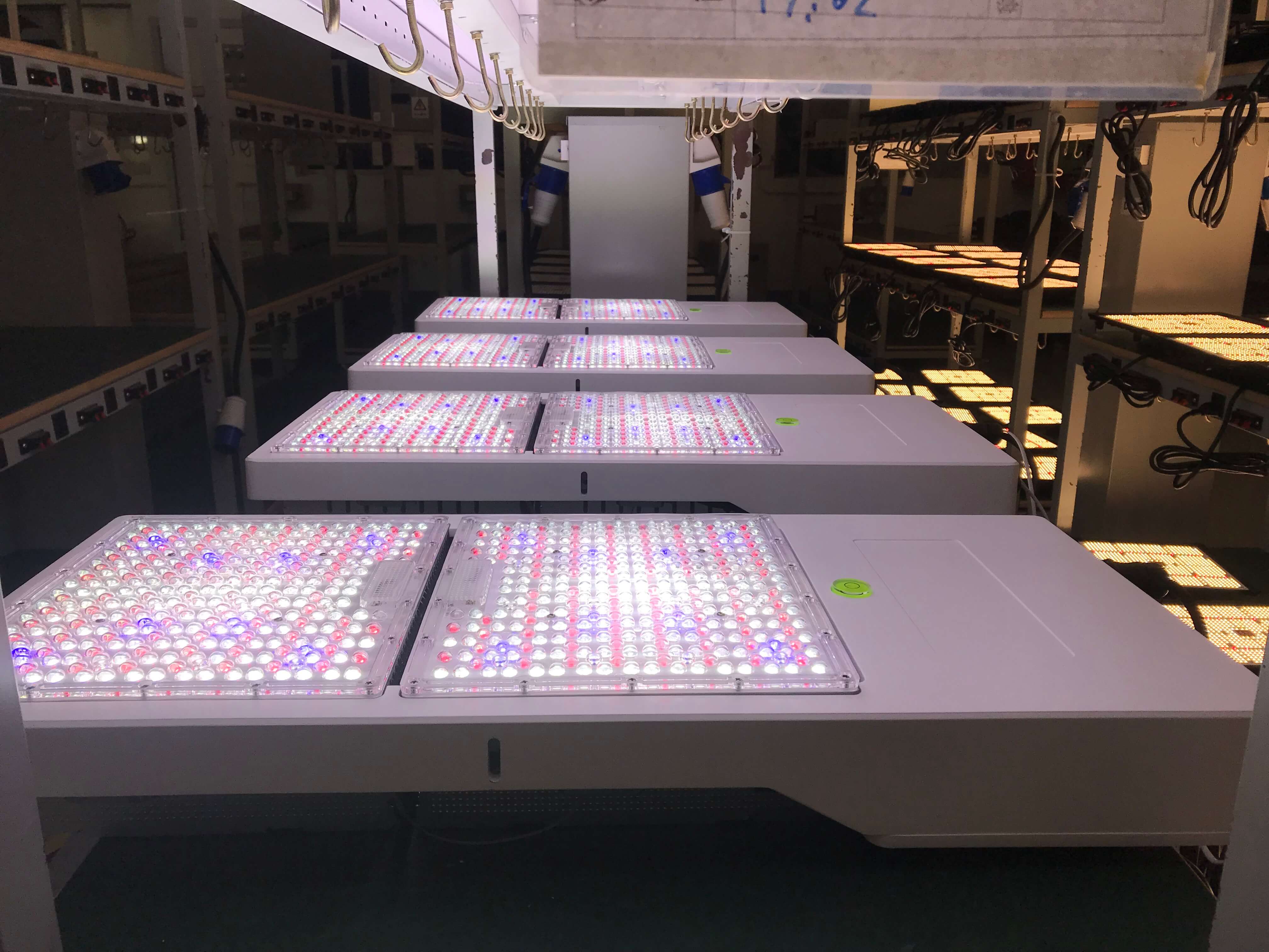 How LED Grow Lights Are the Future for Indoor Farming
