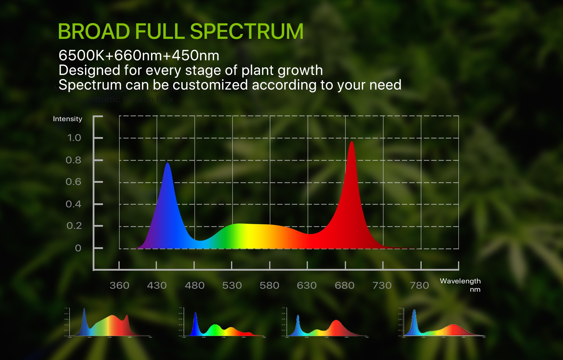spectrum of EAGLE.jpg
